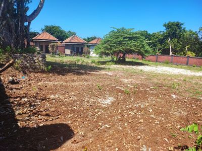 Nyang Nyang Land