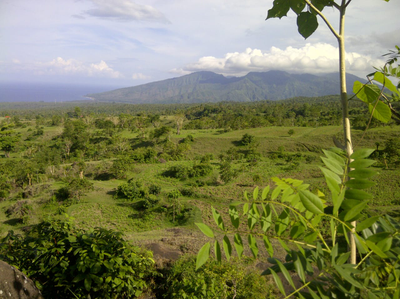 Amed Hillside Land 200 are