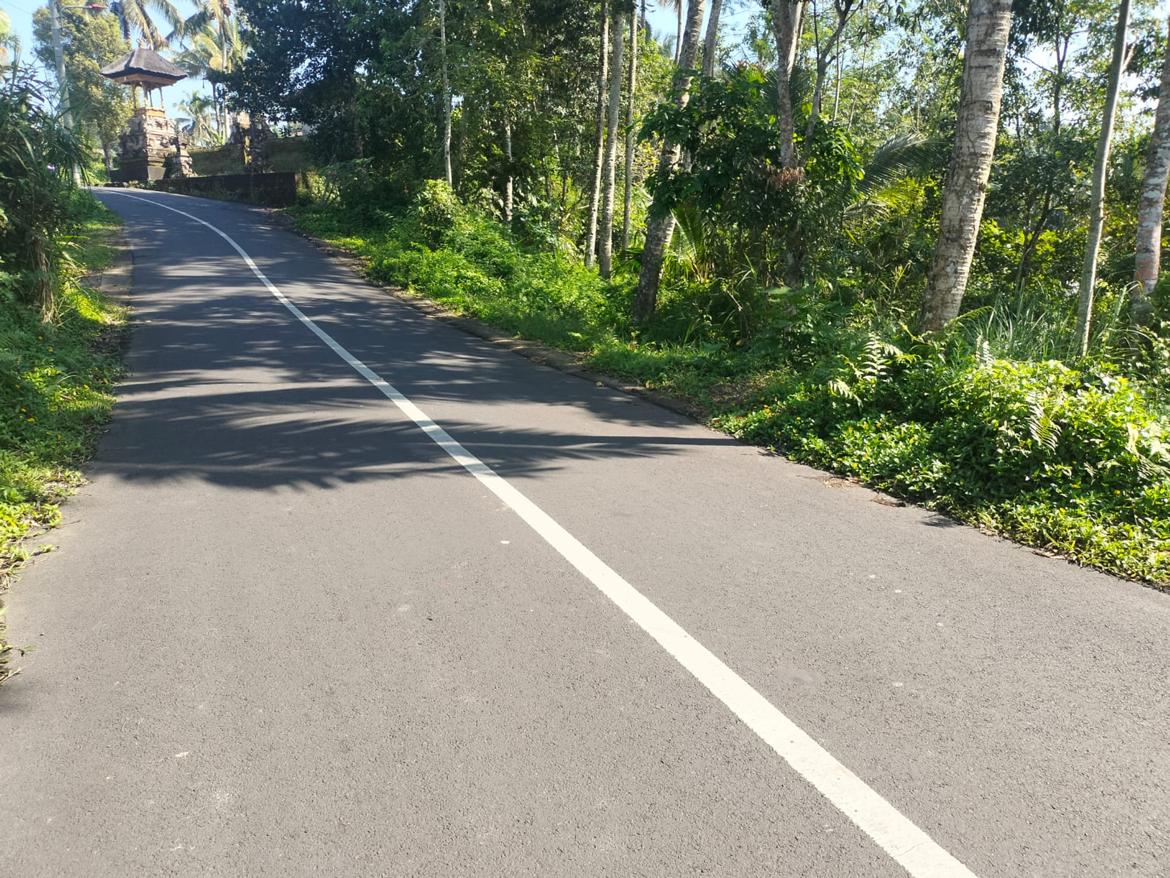 Tegallang Ubud Land