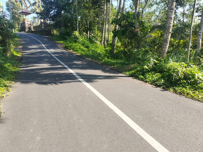 Tegallang Ubud Land