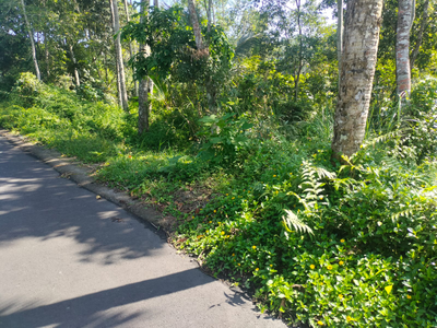 Tegallang Ubud Land