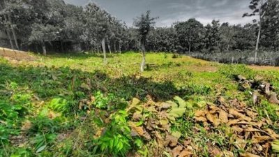 Pecatu Land