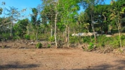 Pecatu Land