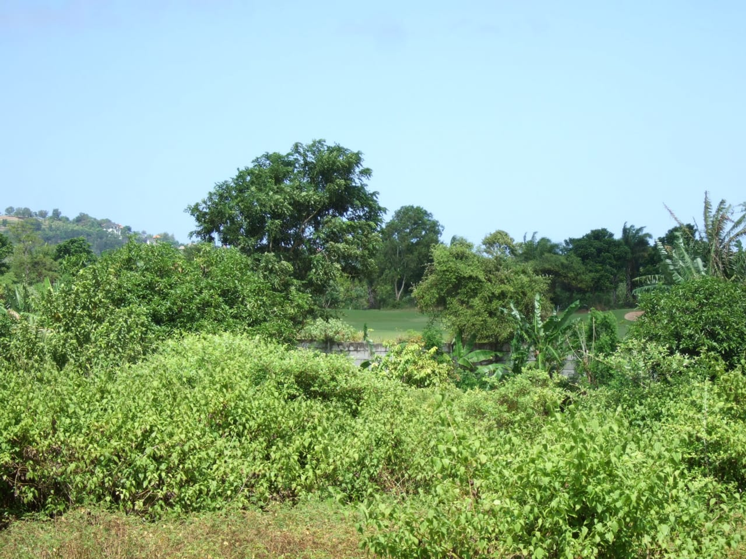 Balangan Land