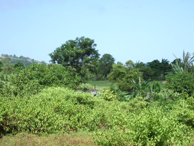 Balangan Land