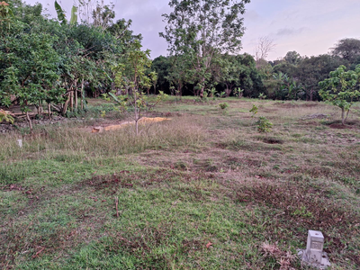 Balangan Land