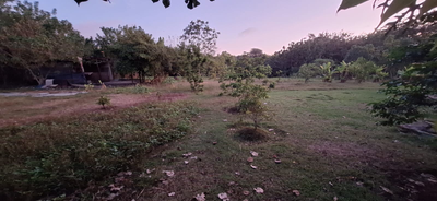 Balangan Land