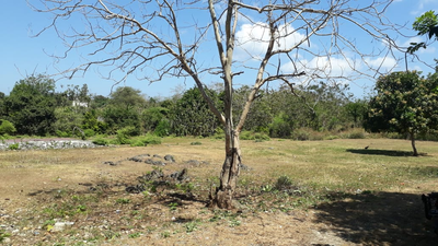 Balangan Land