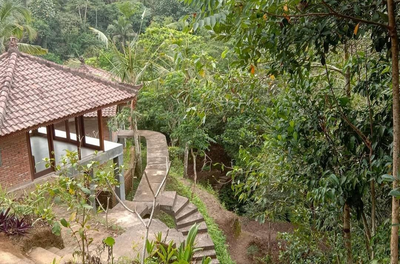 Prime Land Jungle Views