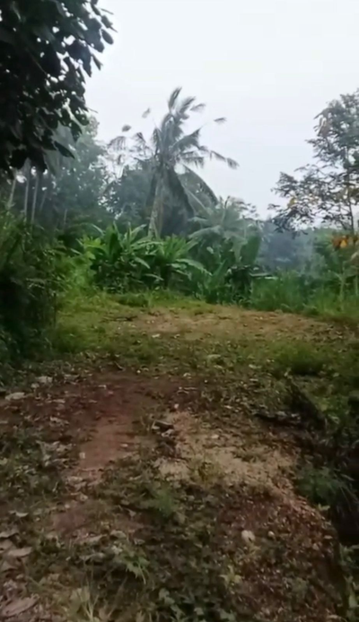 Kedisan Ubud Land