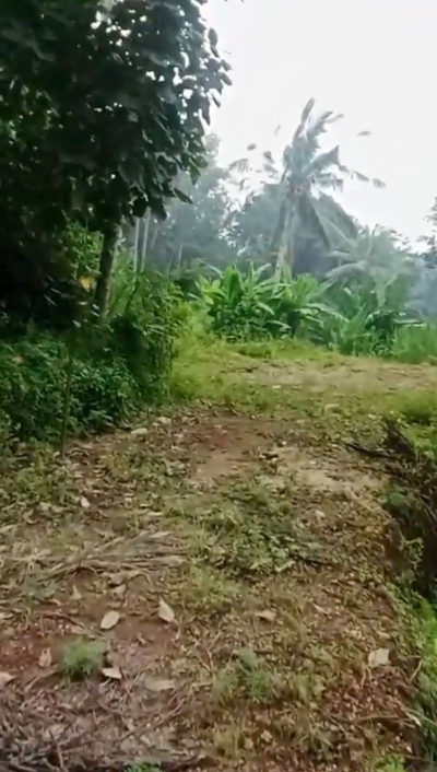 Kedisan Ubud Land