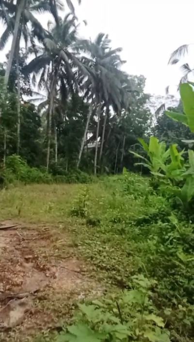 Kedisan Ubud Land