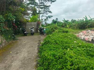 Singakerta Ubud Land