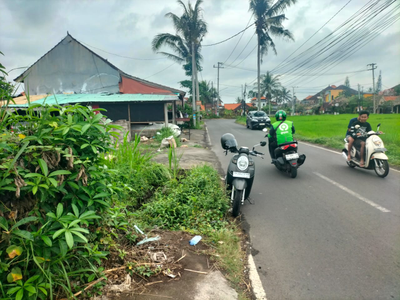 Singakerta Ubud Land